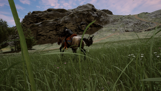Stormrite, a horse running in a field