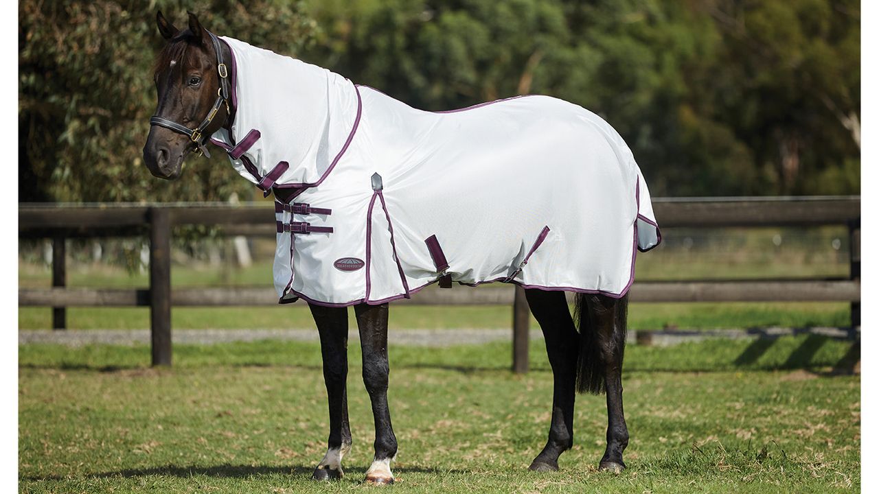 WeatherBeeta ComFiTec Essential Mesh II Combo Neck