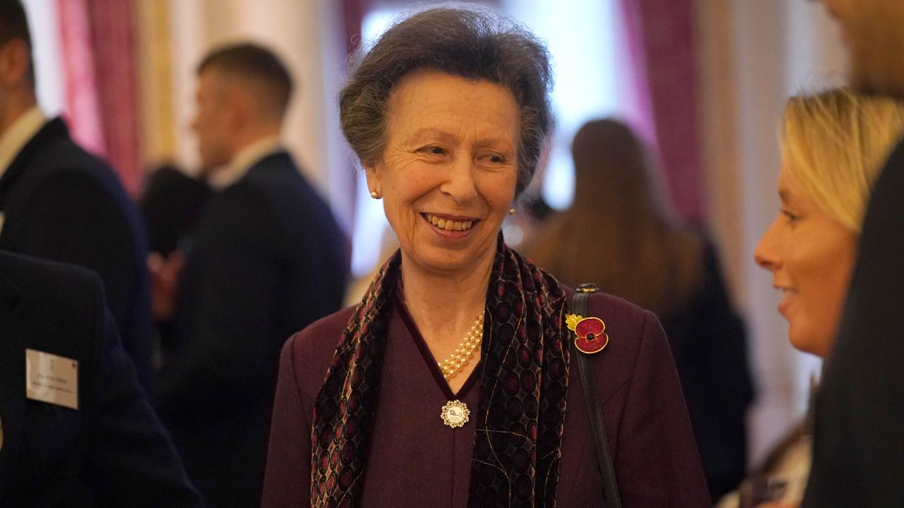 Princess Anne, Princess Royal speaks with guests during a reception for medalists from the Paris 2024 Olympic and Paralympic Games at Buckingham Palace on November 7, 2024 in London, England.