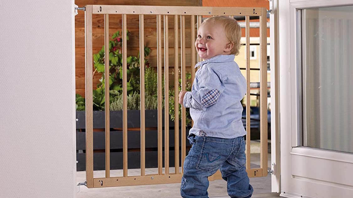 BabyDan baby gate
