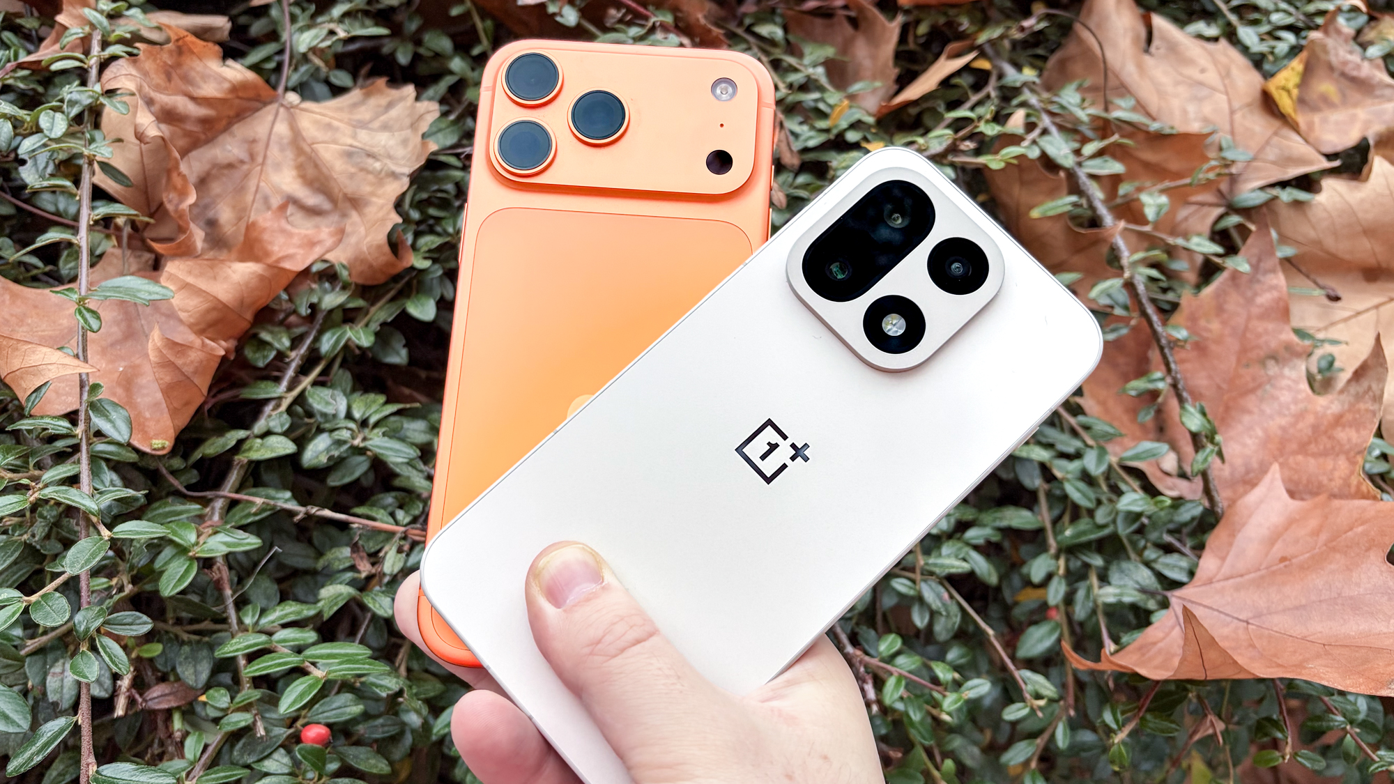 The iPhone 17 Pro Max and OnePlus 15