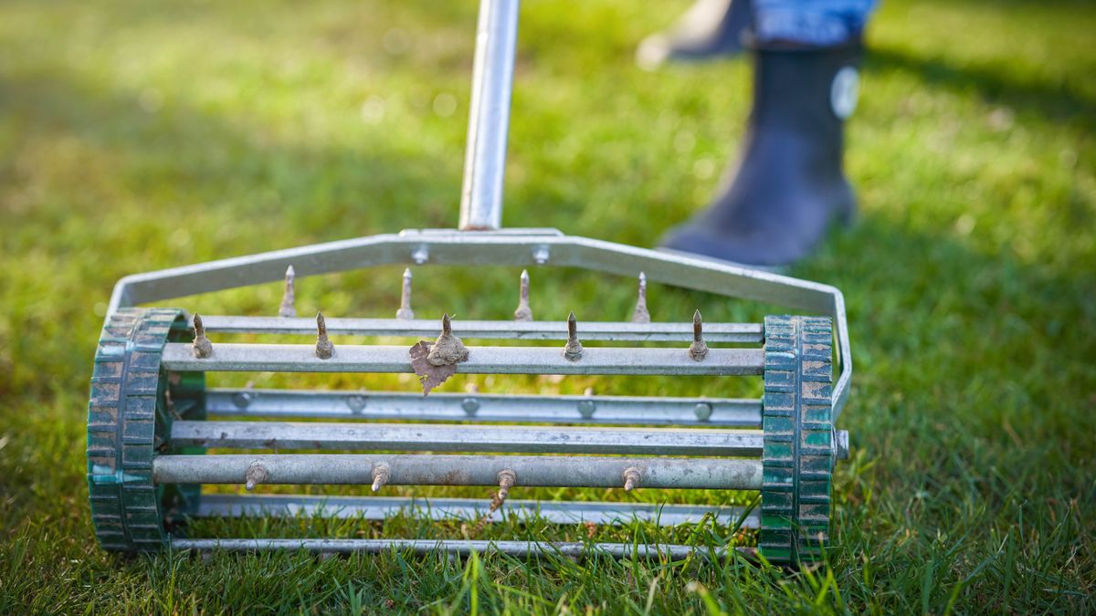 How to aerate a lawn and when you should do it