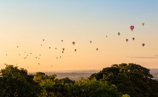 Hot air balloons in the sky at sunrise above Bristol city centre, showing a beautiful clear sky and tree tops in the foreground.