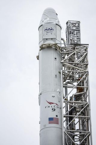 An unmanned SpaceX Dragon cargo capsule sits atop its Falcon 9 rocket at the private spaceflight company's launch pad at Cape Canaveral Air Force Station in Florida on Sept. 19, 2014.