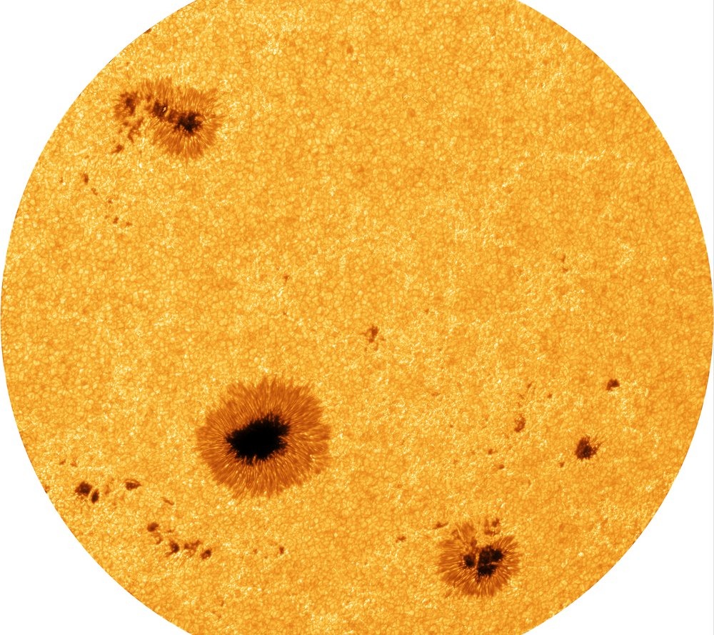 a fuzzy-looking orange-and-yellow orb dotted with black splotches