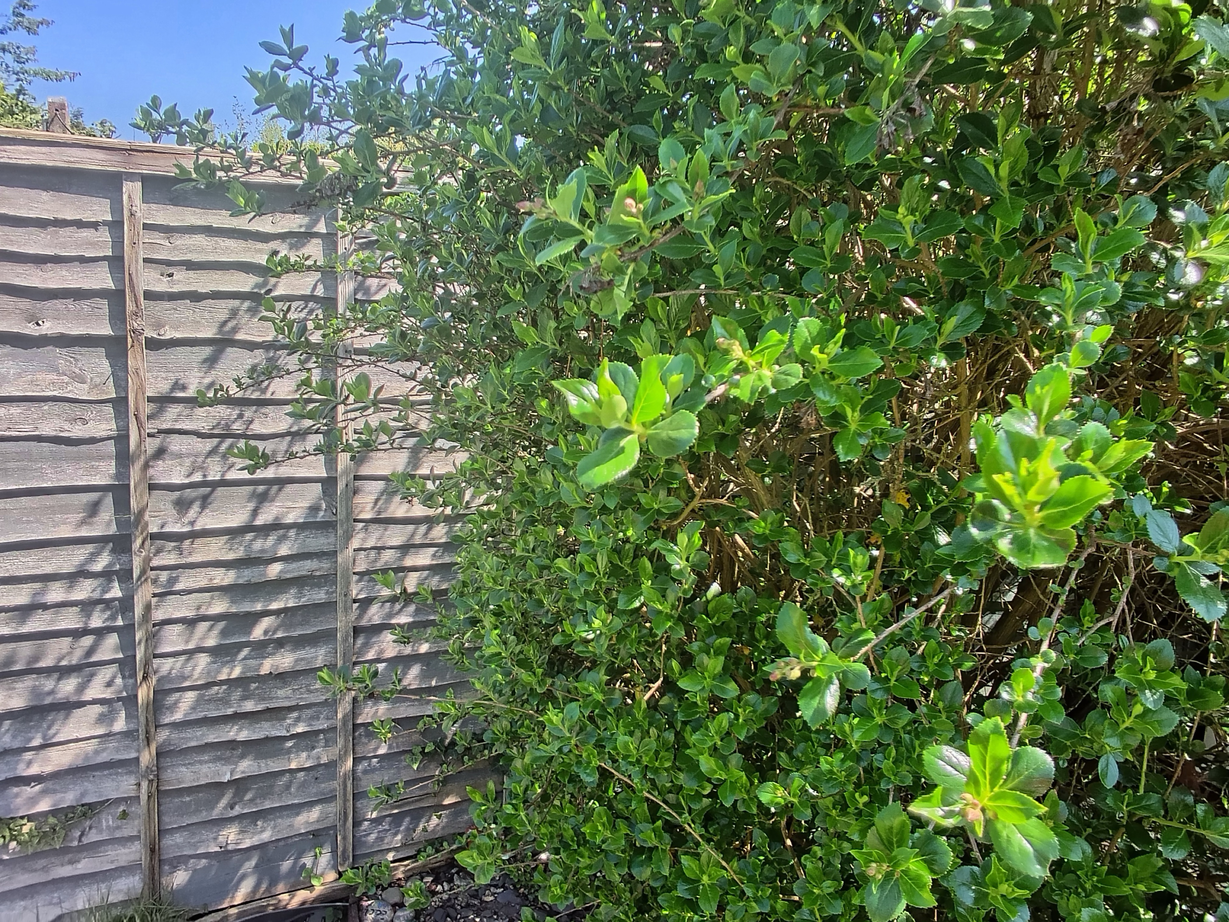 L'Atitude 52&deg;N Smart Glasses photo sample