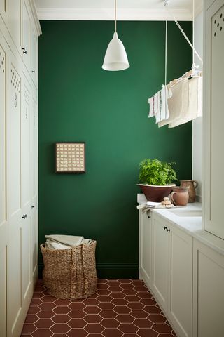 a green laundry room with a hanging dryer and pendant light
