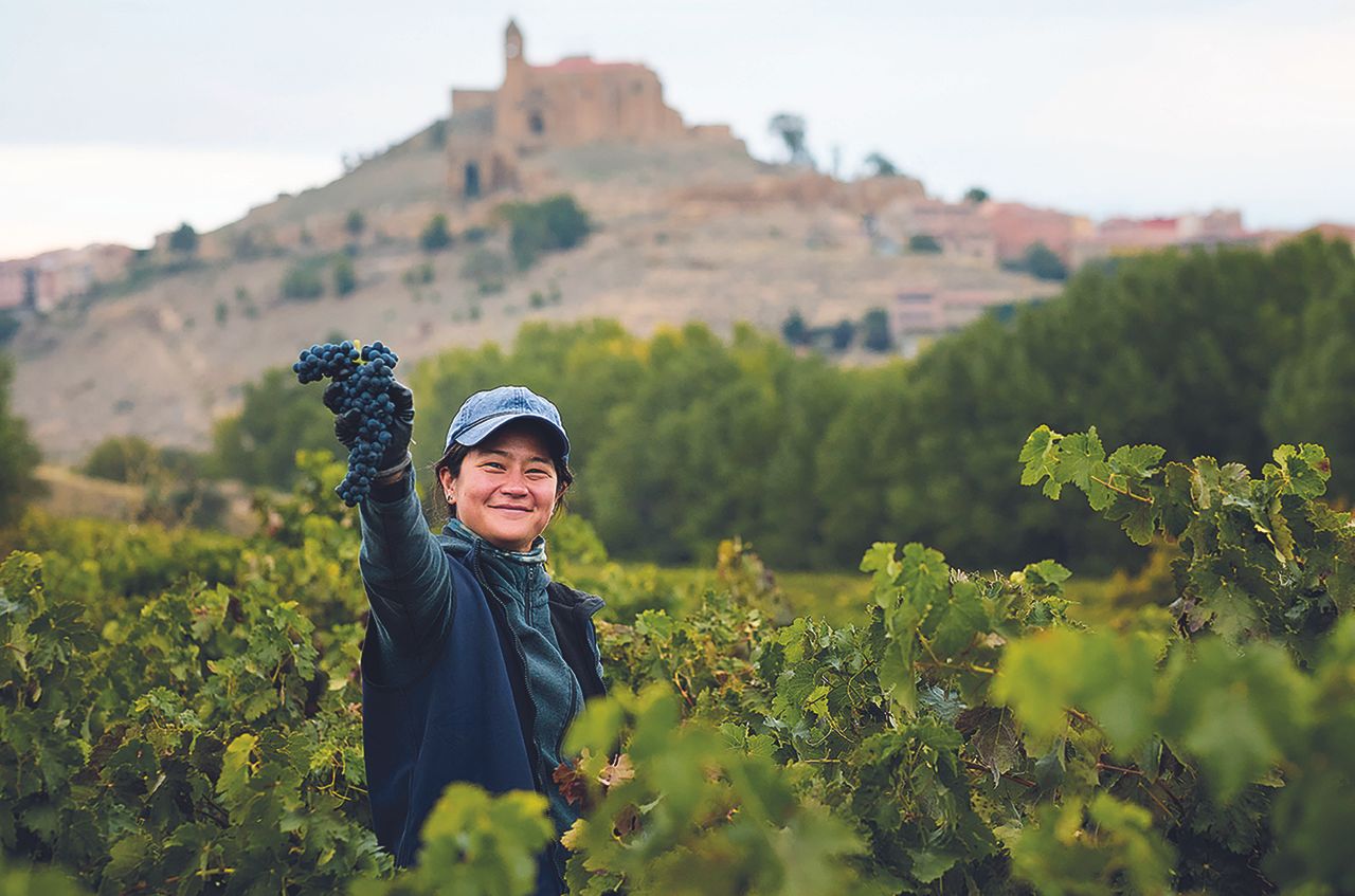 Viticultores Independientes de Rioja: Ob