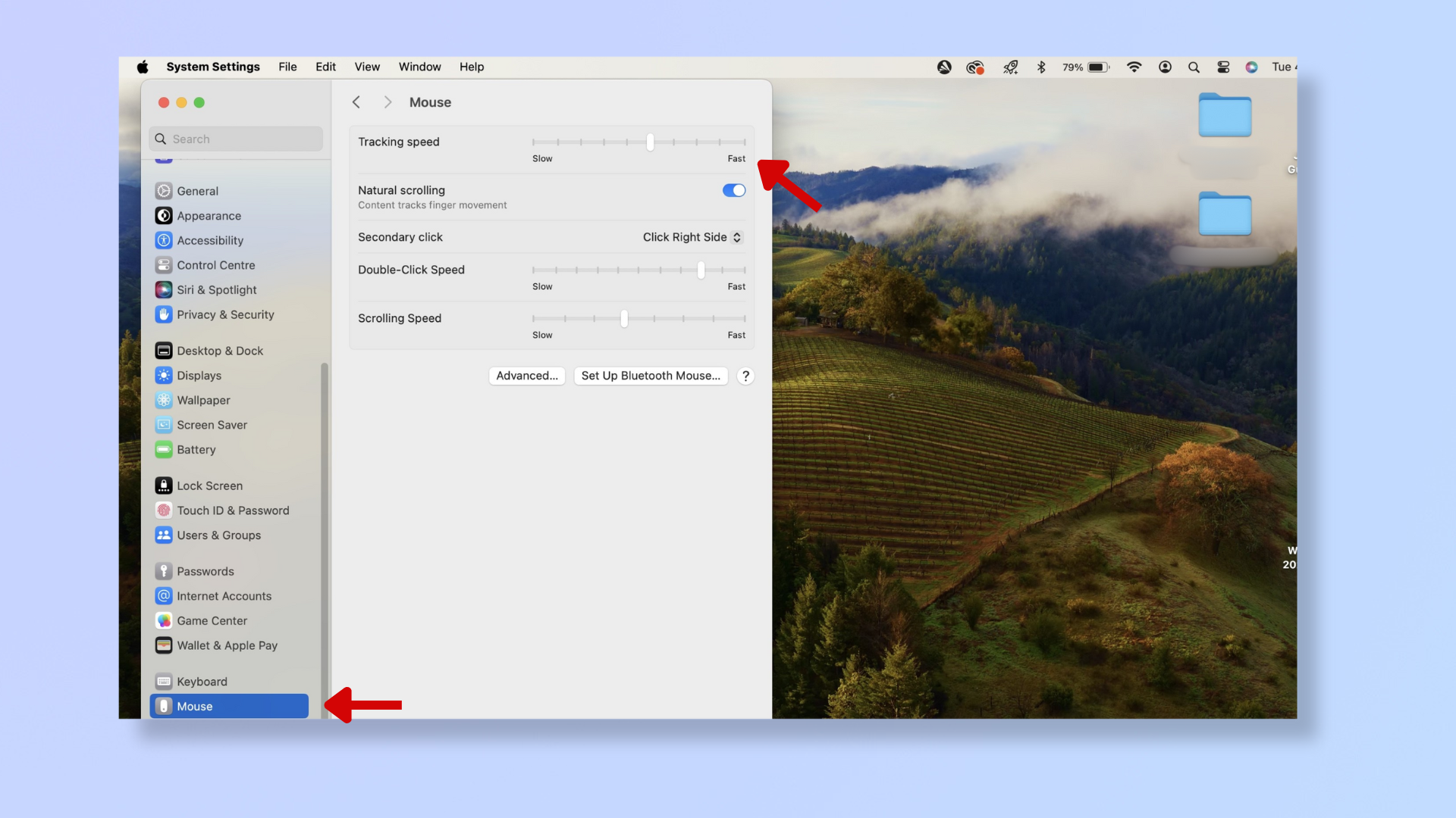 A screenshot of the Mac System Settings, with red arrows pointing at Mouse and at the Tracking speed slider. 