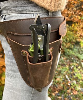 Brown leather gardening tool belt holding two pairs of pruning shears