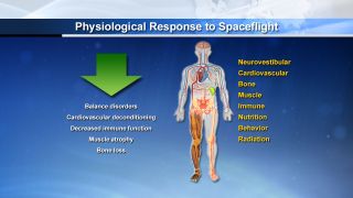 Potential Negative Physiological Responses to Spaceflight