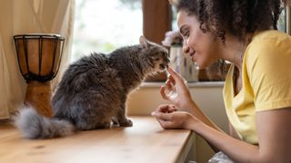 a woman feeds her cat a treat