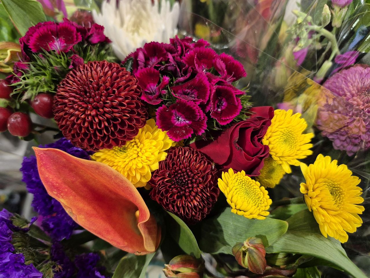 Samsung Galaxy S24 FE camera sample.