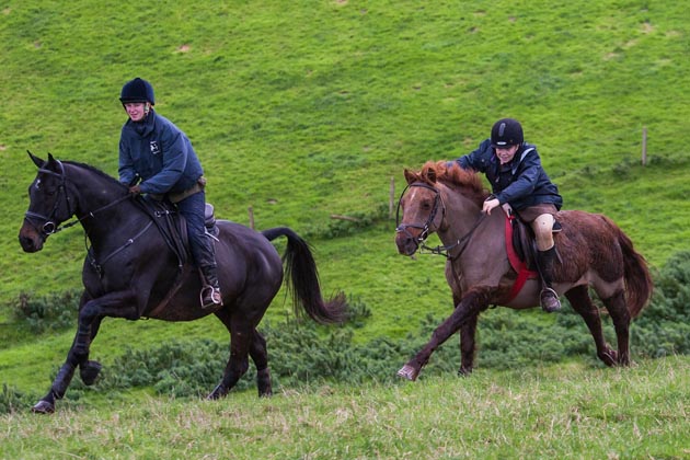 Dart Vale Hunt 08 1 2014 Coleridge Farm near Kingsbridge, South Devon,