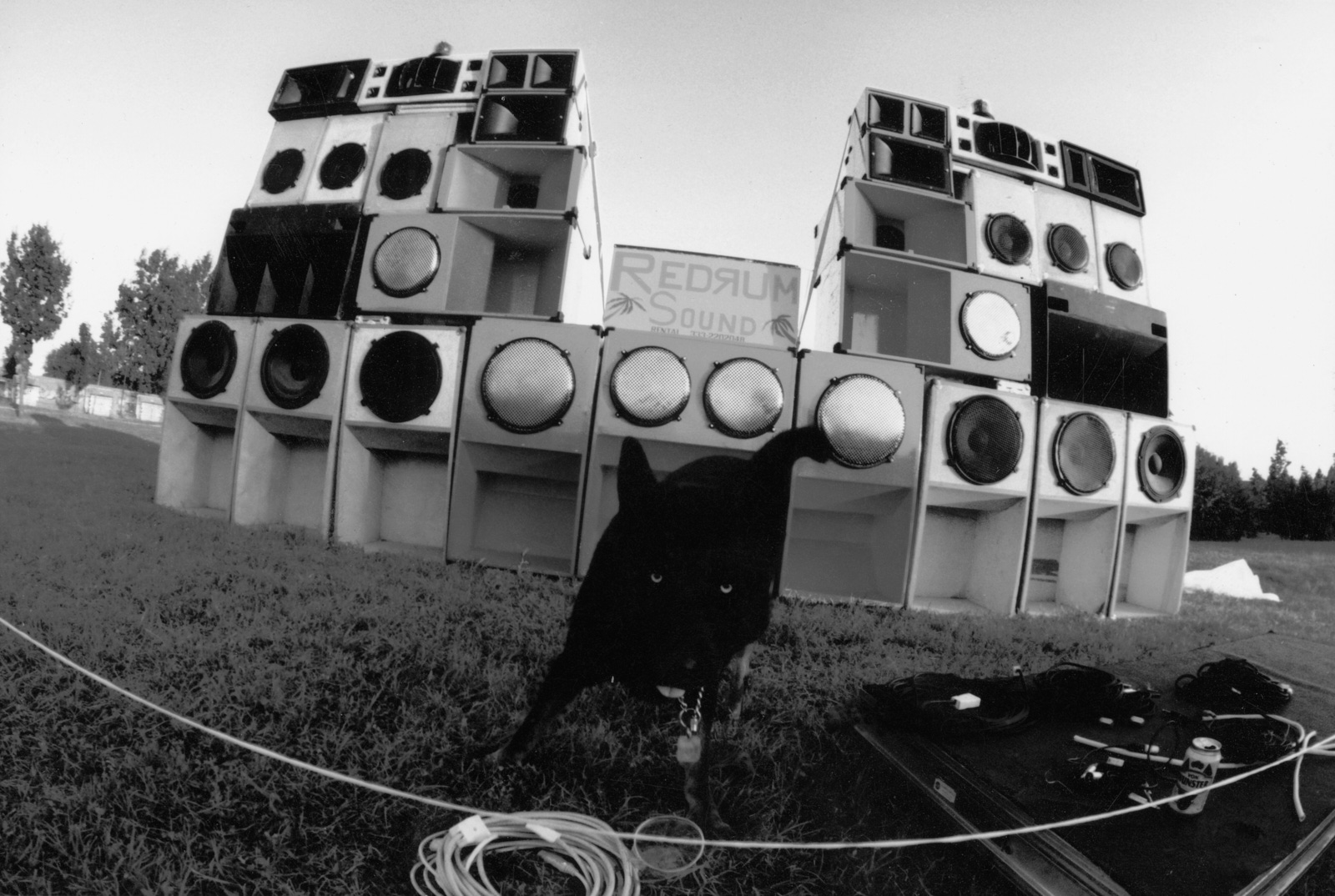 black and white photography of raving culture
