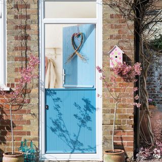 blue front door with letter box and flowering plants