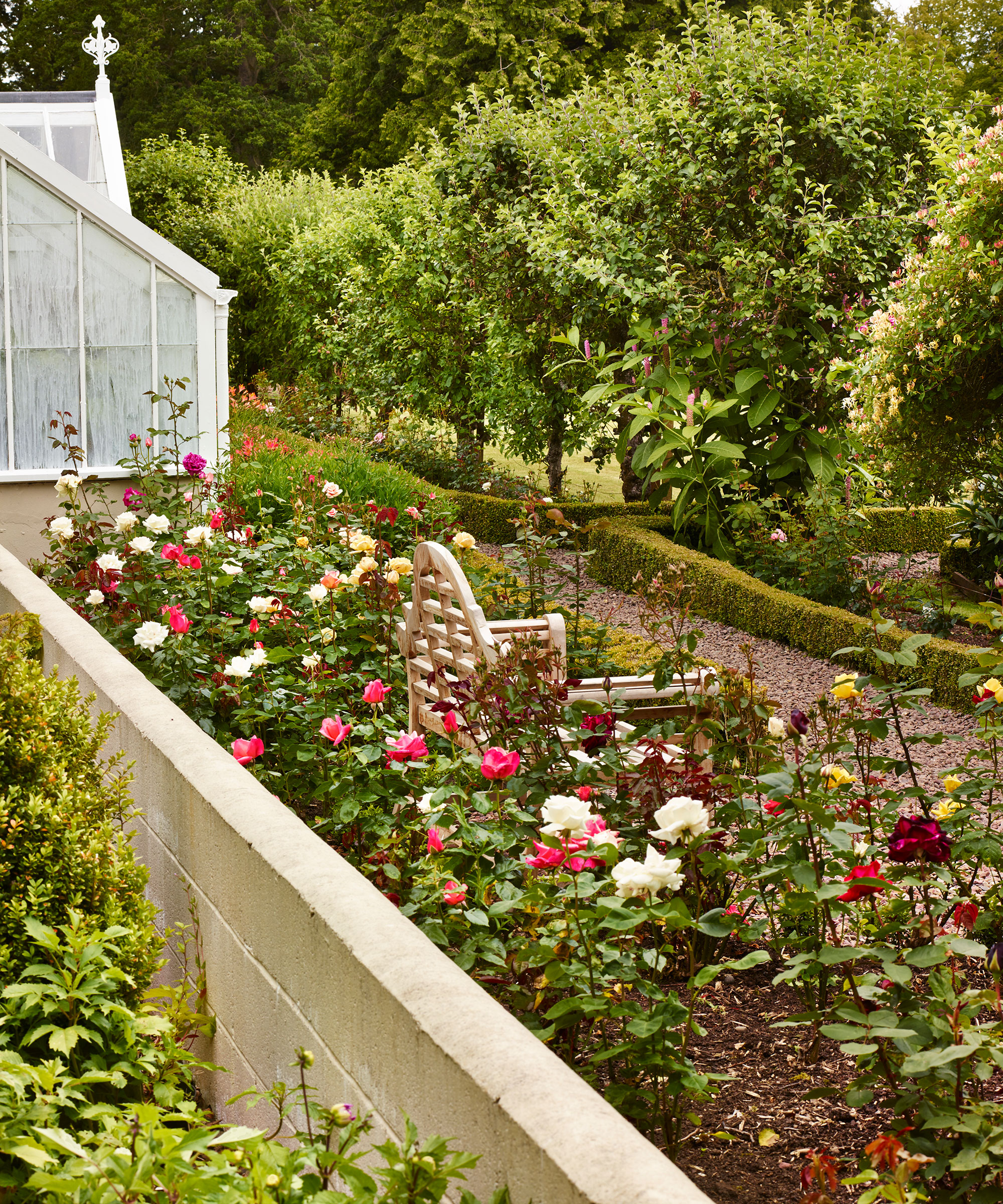 A flower bed with a wooden bench surrounded by pink and white roses and flowers