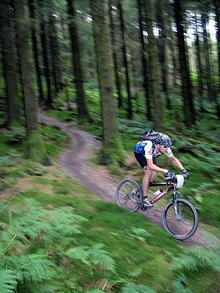 A rider enjoys some wooded singletrack.