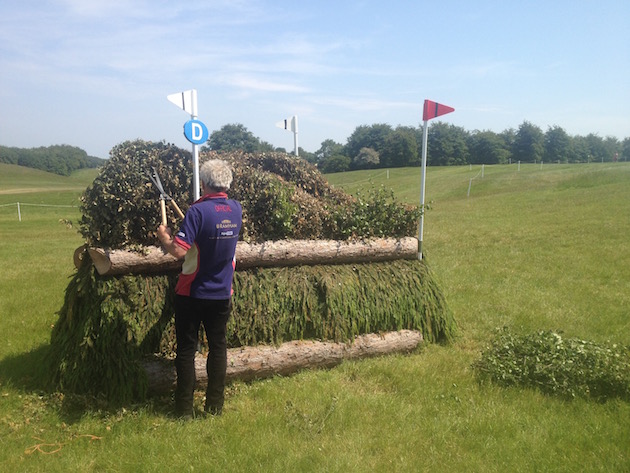 Bramham2015CCI12d