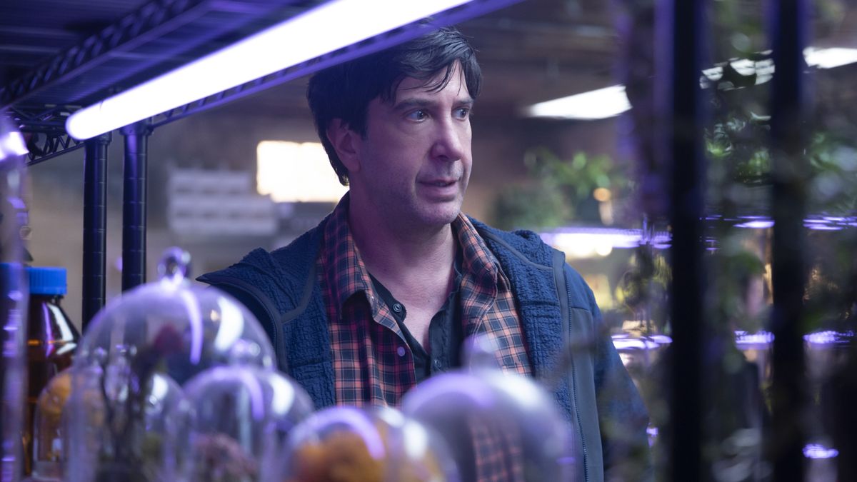 David Schwimmer in Goosebumps: The Vanishing