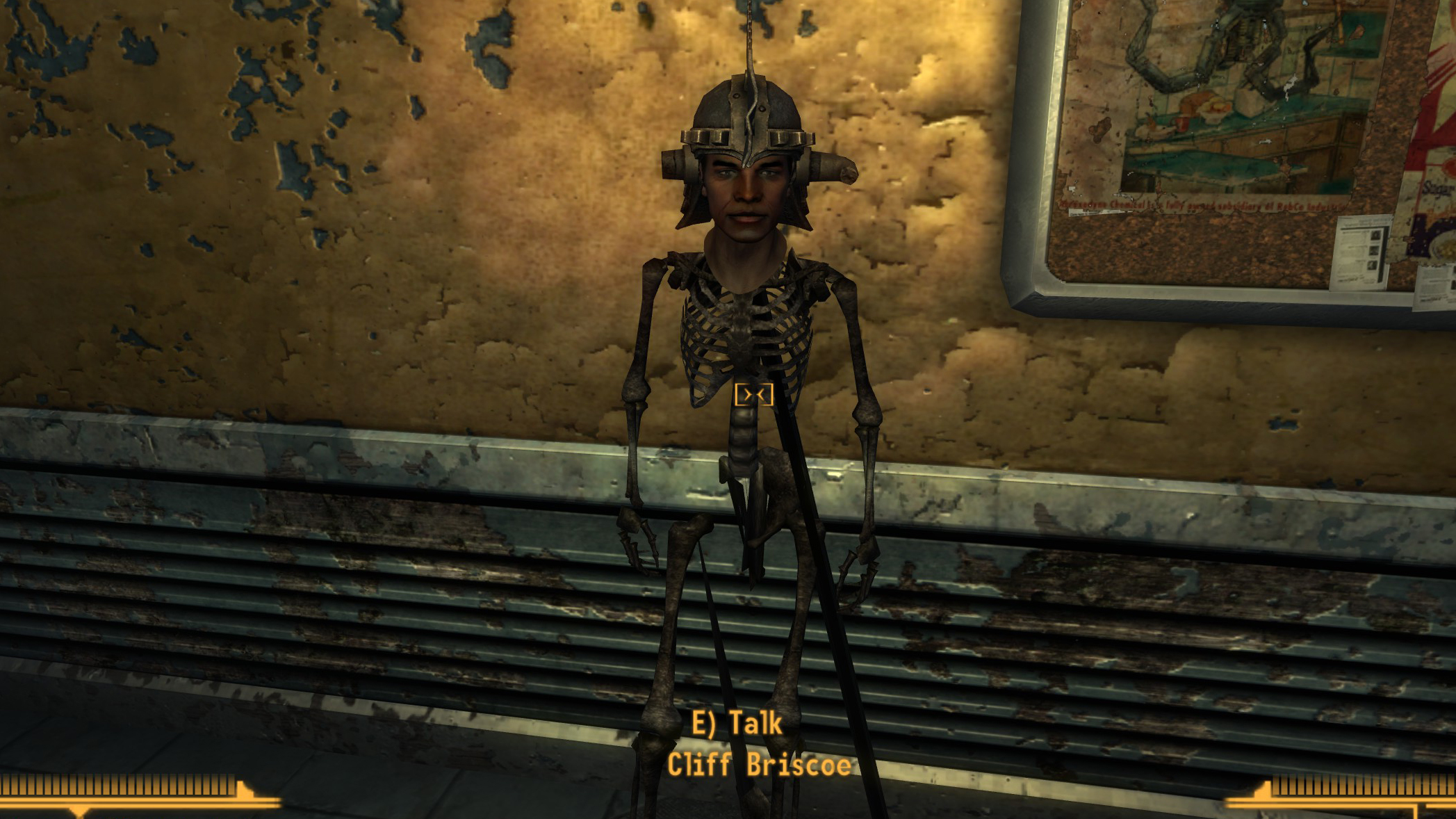 Fallout New Vegas randomizer mod