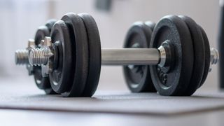 dumbbells sitting on yoga mat on floor