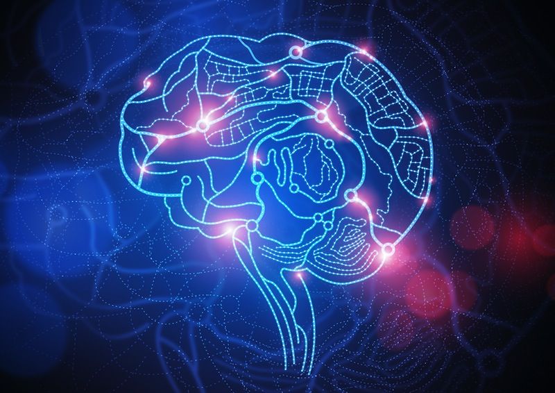 Sex Addiction And Drug Addiction Linked In The Brain Live Science 