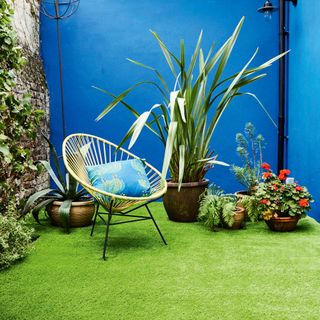 a garden with an artificial lawn with a bold blue painted wall and an armchair