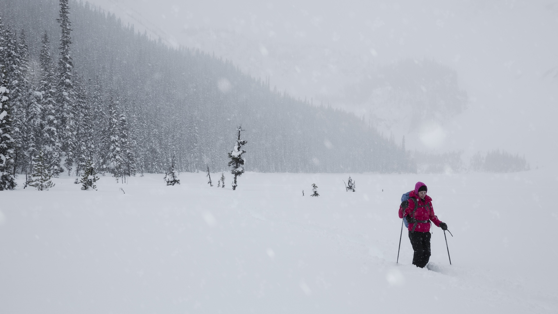 a man snowshoeing during a snowstorm