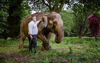 Duke of Bedford with his Elephants