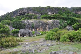 The uplifted limestone terraces on Kisar have eroded to form vast overhangs where the prehistoric rock paintings are found.
