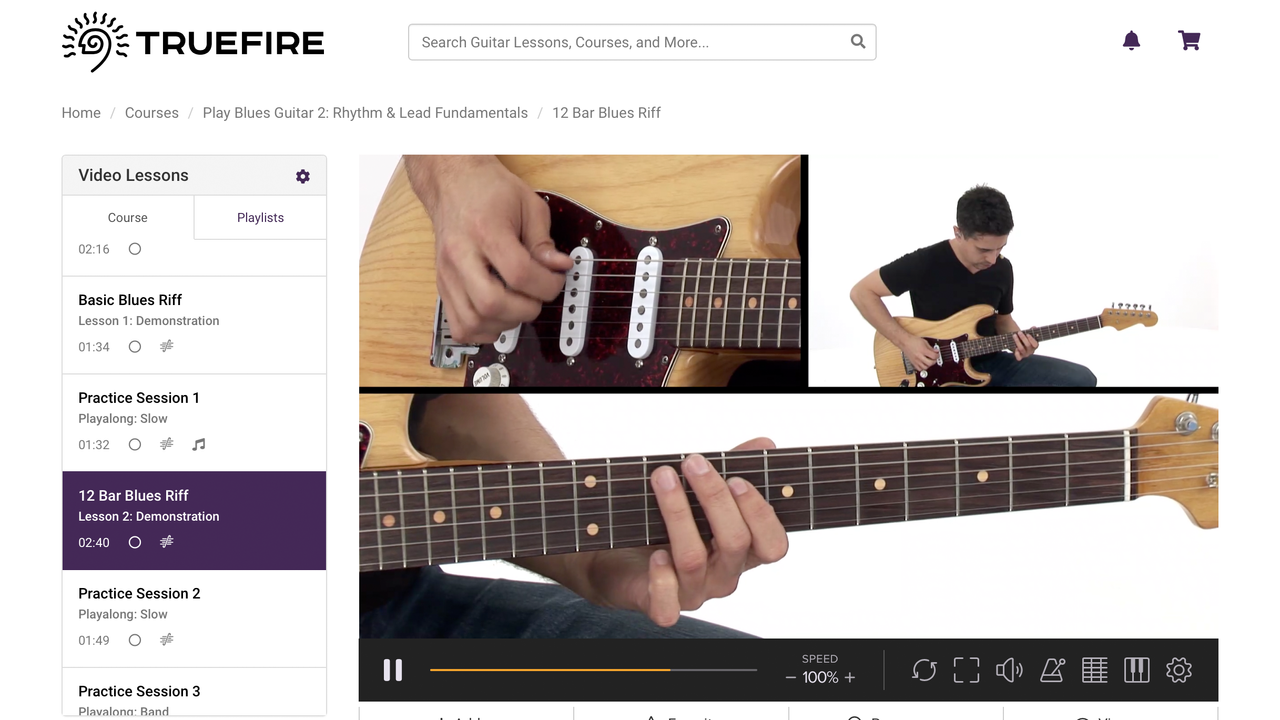TrueFire multiview lesson screen grab