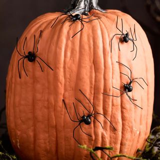 Spooky Spider Pumpkin Stakes, Set of 5