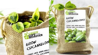 Grow your own set, £9