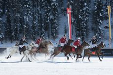 ladies' snow polo