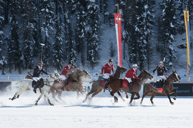 ladies' snow polo