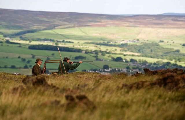 Grouse shooting in Yorkshire