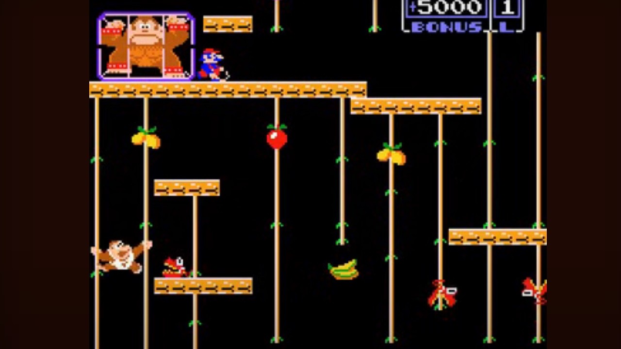 Donkey Kong Jr., Donkey Kong Jr.'da babasını kurtarmak için sarmaşıklarda sallanıyor.