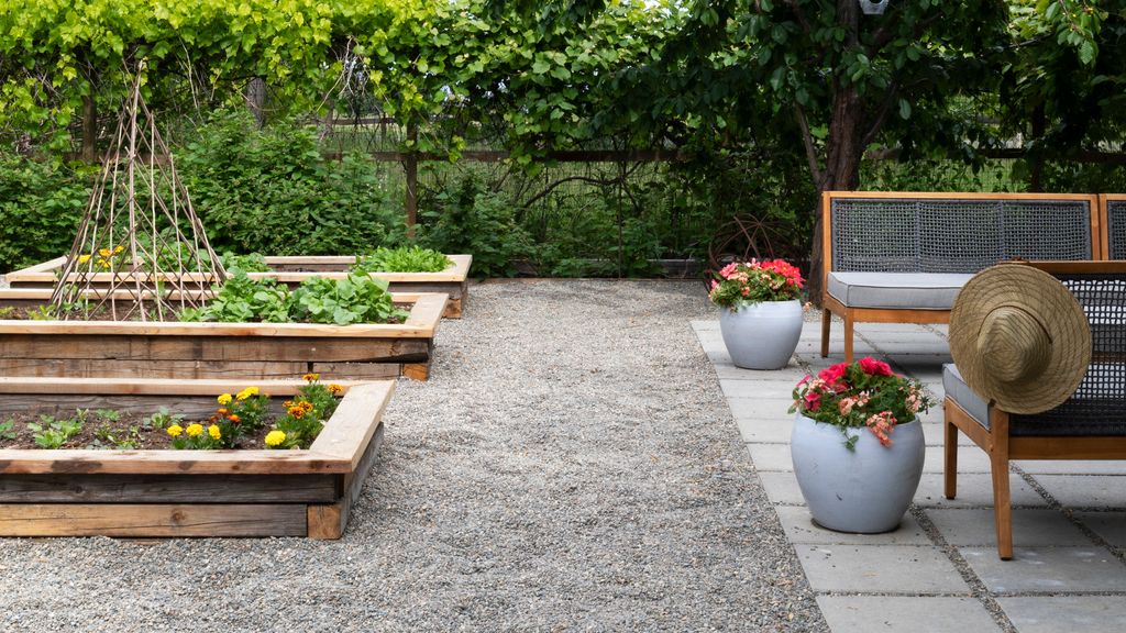 How To Landscape A Large Backyard On A Budget how-to-landscape-a-large-backyard-on-a-budget