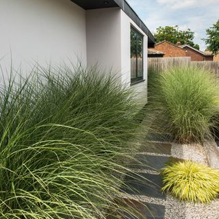 the side of a house with paving and glasses