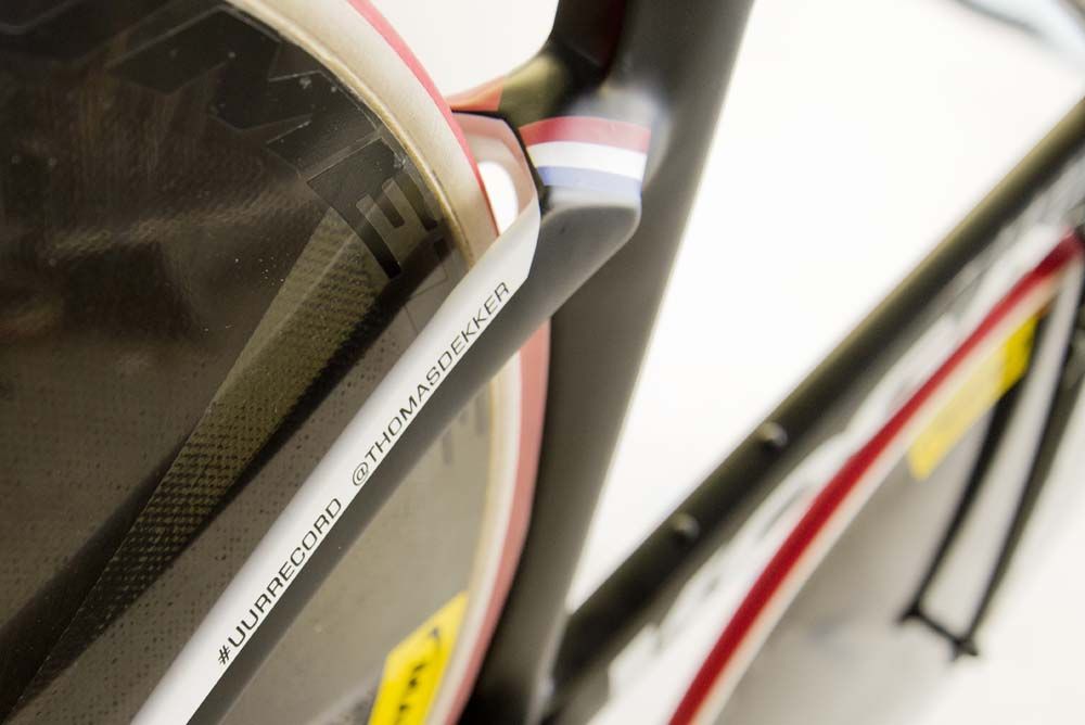 The rear stays of the Koga TeeTeeTrack