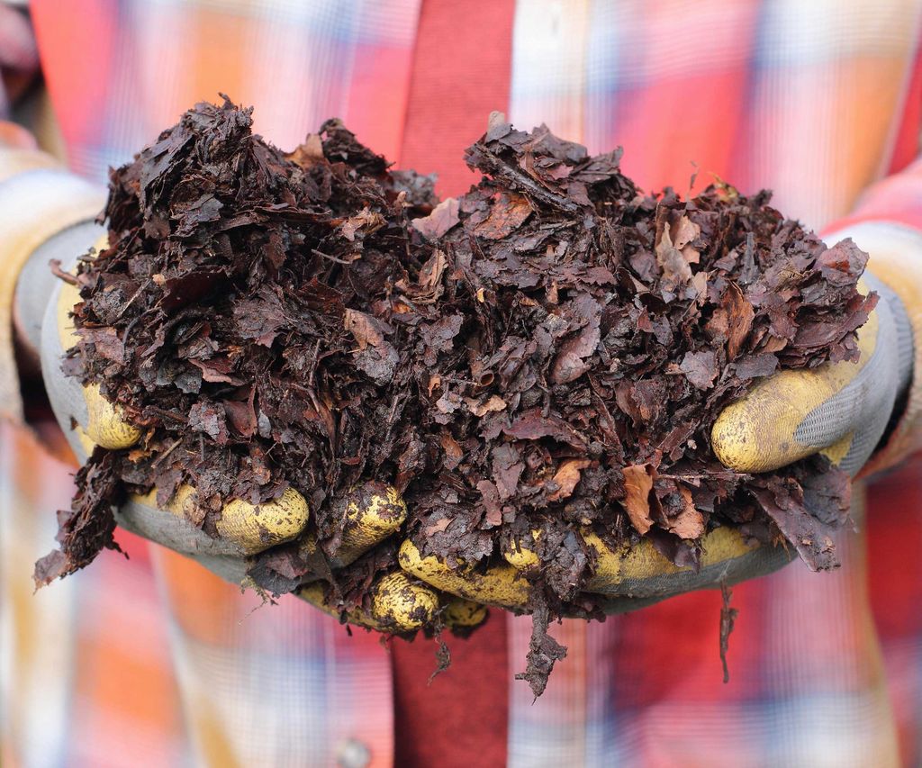 Mulching a simple guide to help your garden thrive Homes & Gardens