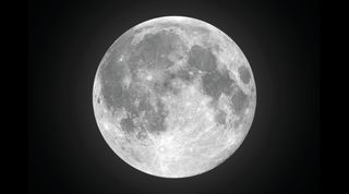Full moon vector image