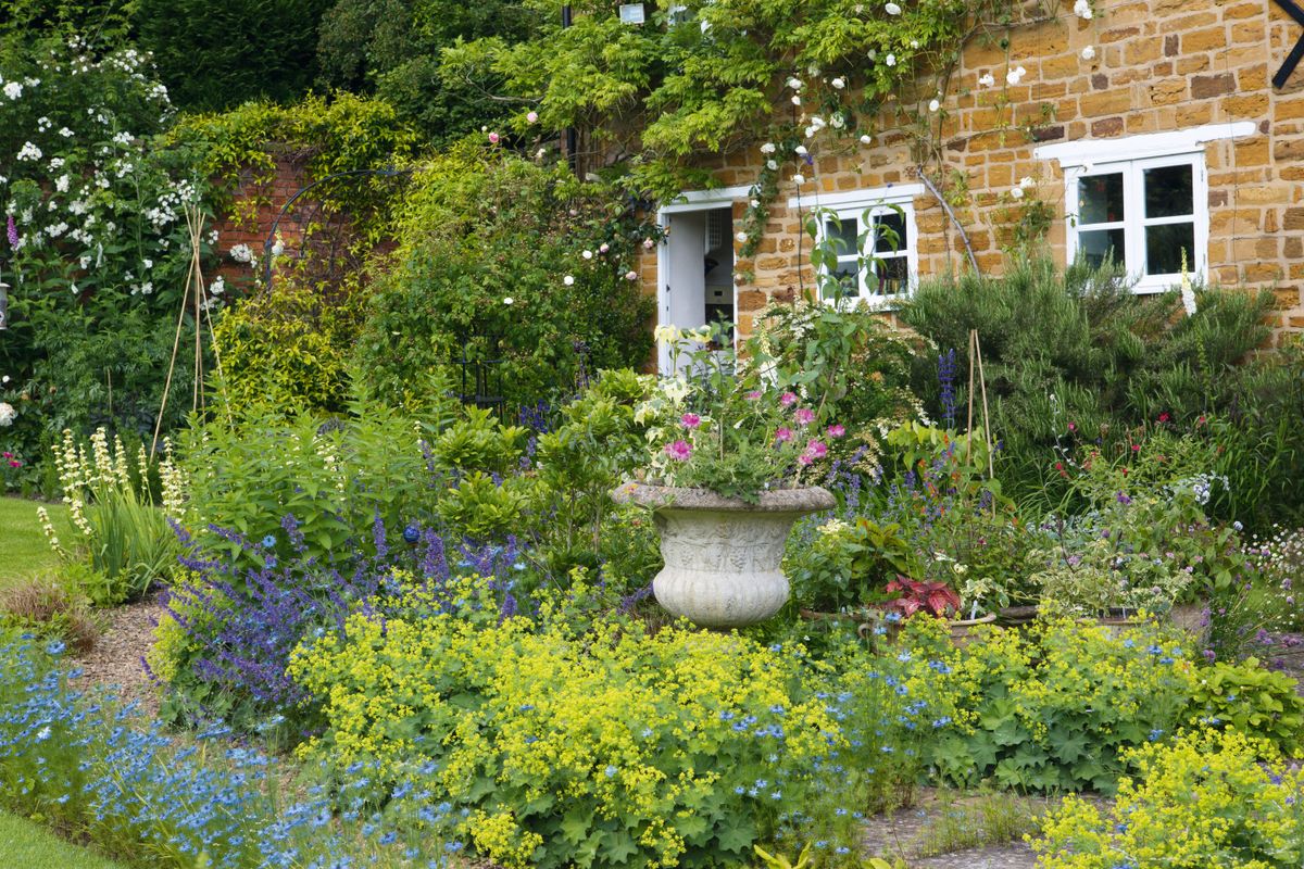 Cottage Gardens How To Plan Yours, Year Round Plants For Landscaping Uk