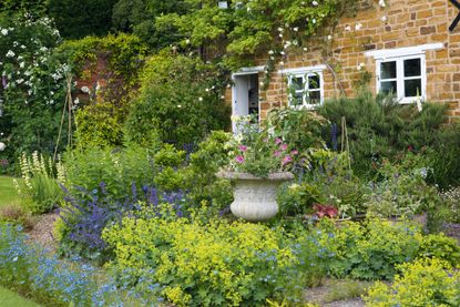 flowers and plants in front of pretty brick cottage with plants growing up the building - one of the best ideas for cottage gardens