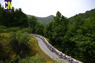 PLATEAU DES GLIERES, FRANCE - JUNE 09: A general view of the peloton climbing to the Col des Esserieux (754m) during the 76th Criterium du Dauphine 2024, Stage 9 a 160.6km stage from Thones to Plateau des Glieres 1444m / #UCIWT / on June 09, 2024 in Plateau des Glieres, France. (Photo by Dario Belingheri/Getty Images)