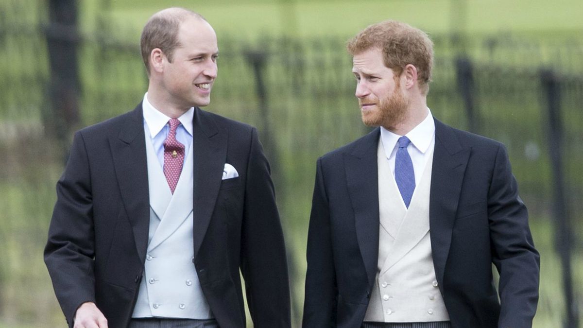 Le prince William et le prince Harry choisissent un sculpteur pour commémorer la princesse Diana