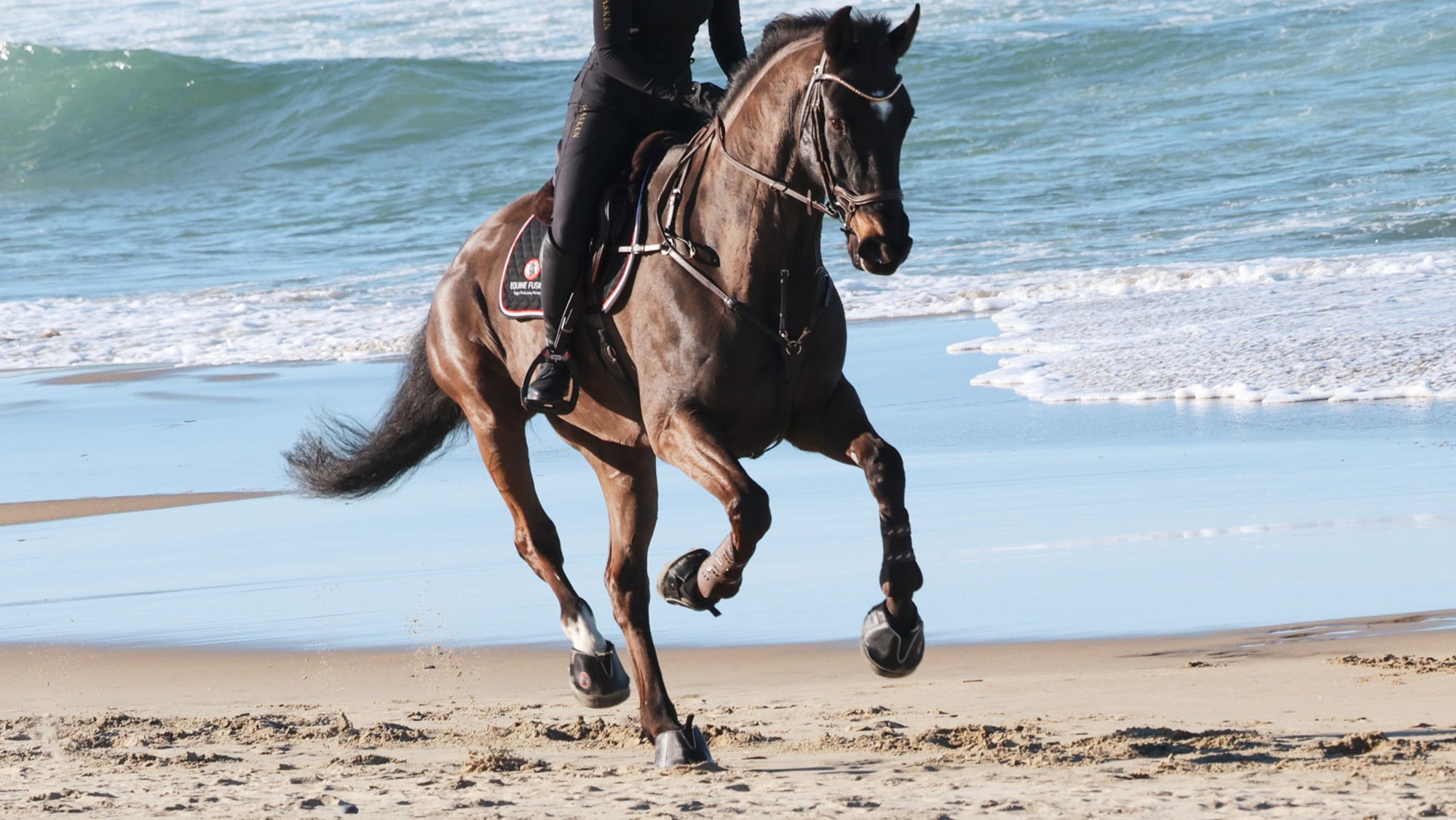 Horse cantering on the beach wearing Equine Fusion Active Hoof Boots