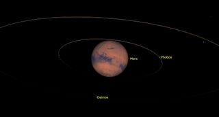 Oppositions offer the chance to see Mars' two small and dim moons Phobos and Deimos in amateur telescopes. At magnitude 10.67, the inner moon Phobos is about 2.5 times brighter than magnitude 11.76 Deimos. At 11 p.m. EDT on Wednesday, Oct. 14, 2020, the moons will be positioned as shown here. To increase your chance of seeing the moons, place bright Mars just beyond the field of view of your telescope's eyepiece — and remember to account for the way your telescope flips this regular view.