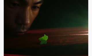 Finding a leaf, by Shen Wei